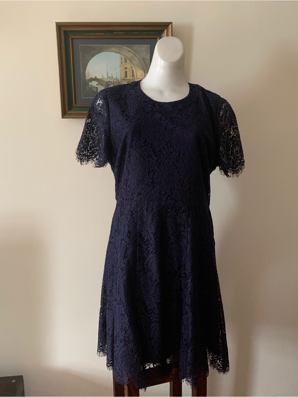 Madewell Navy Lace Dress